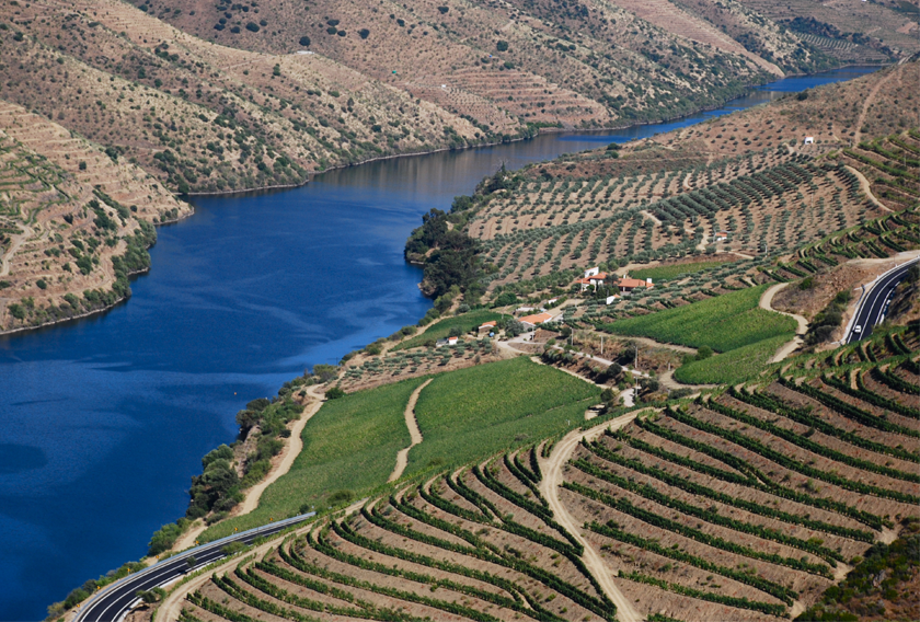 Foz Côa Valley