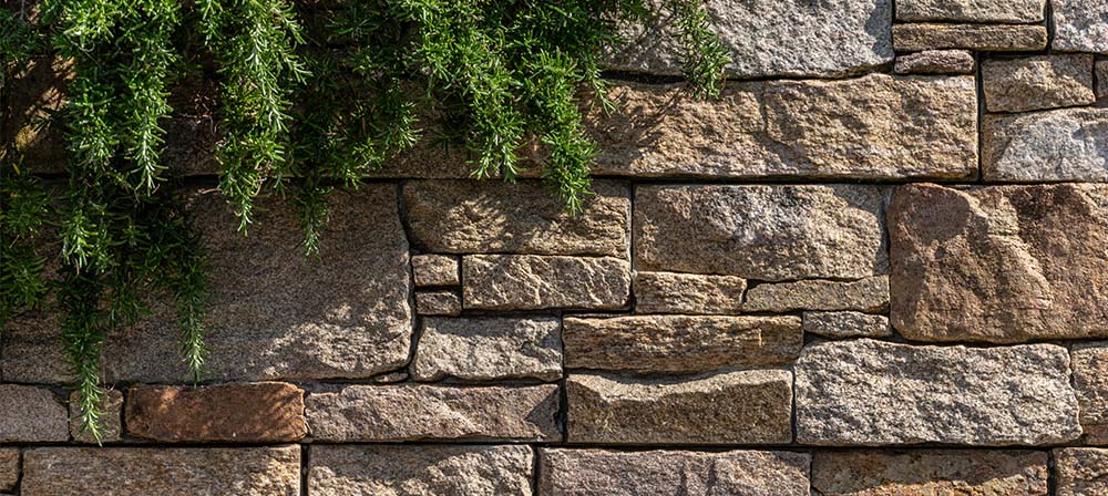 wall covered in natural stone with plants