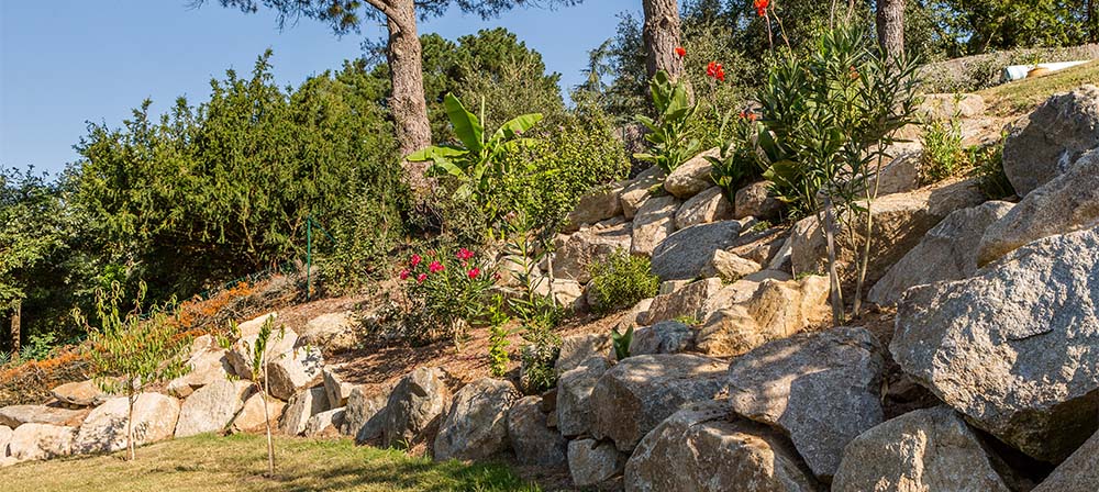 garden with natural stone and trees
